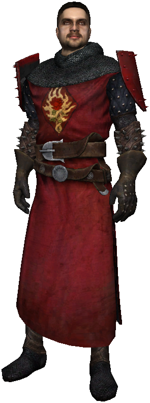 /images of/Roderick de Wett/from/The Witcher/uploads/chars/42711-651768409.png